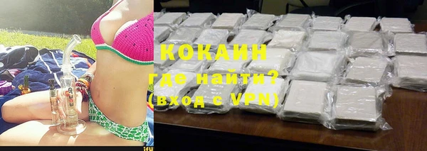 прущие грибы Богородицк