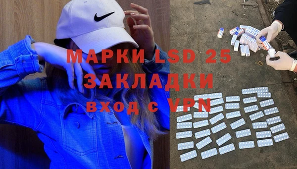 прущие грибы Богородицк