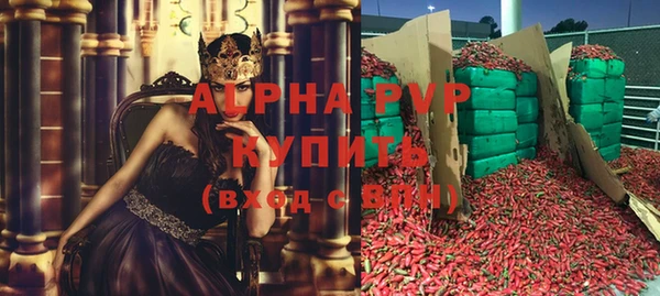 сатива Богданович