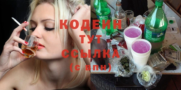 эйфоретик Бородино