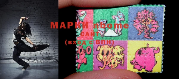 гашик Богородск