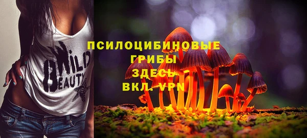 эйфоретик Бородино
