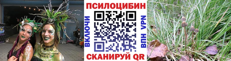 MEGA зеркало  Дальнегорск  Псилоцибиновые грибы мухоморы 