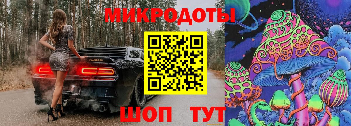 Псилоцибиновые грибы Psilocybe Дальнегорск