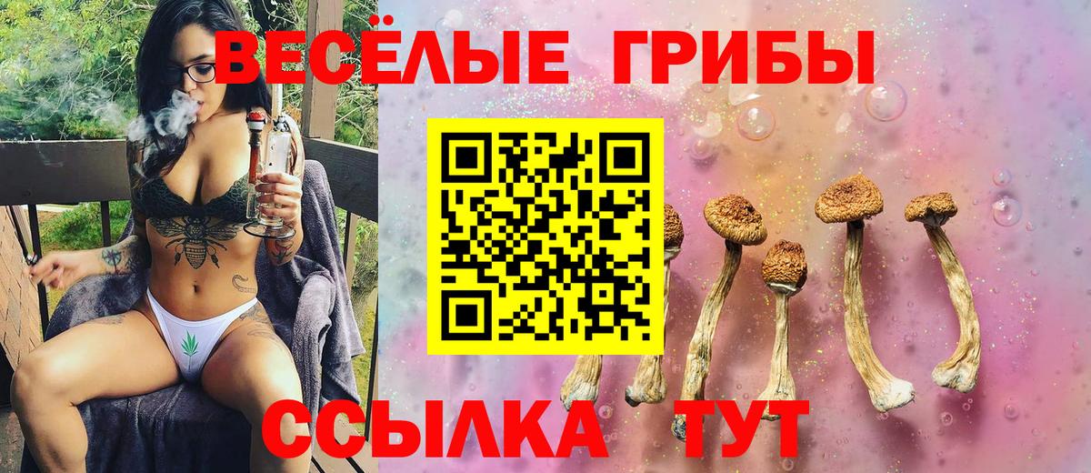 Галлюциногенные грибы Magic Shrooms  Псилоцибиновые грибы ЛСД  Дальнегорск  Вход с VPN 